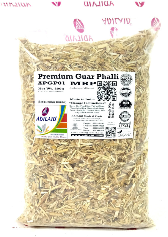 ADILAID Premium Guar Phalli 0.8 kg Dry Young, Adult, Senior Goat Food