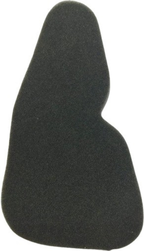 EuroTec Bike Air Filter For Bajaj Avenger