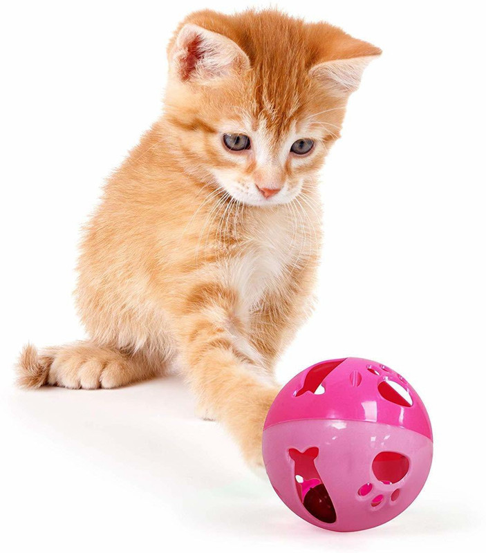 Rvpaws Colorful Ball Toys with Small Bell for Cat and Kittens Plastic Training Aid For Dog