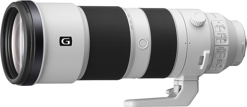 SONY SEL200600G Telephoto Zoom Lens(White, 200 - 600 mm)