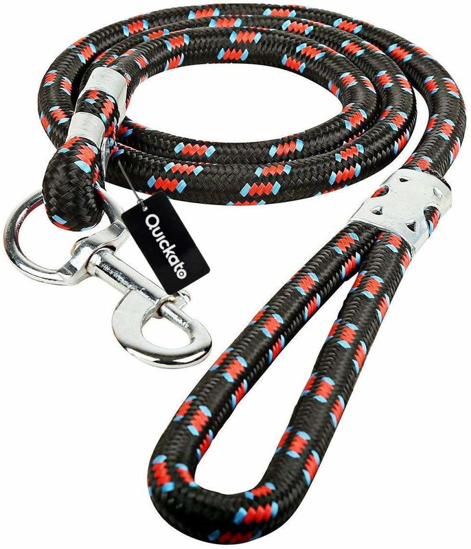 Quickato Round Dog Belt/Leash Belt for All Medium Dogs Dog belt & Leash Dog Leash Alphabet Engraved Dog Collar Charm(Multicolor, Round)