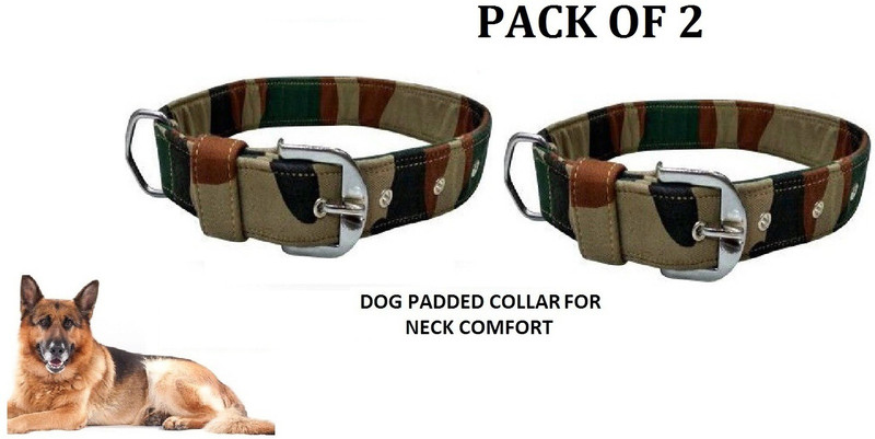Hachiko Dog Everyday Collar(Large, Blue)