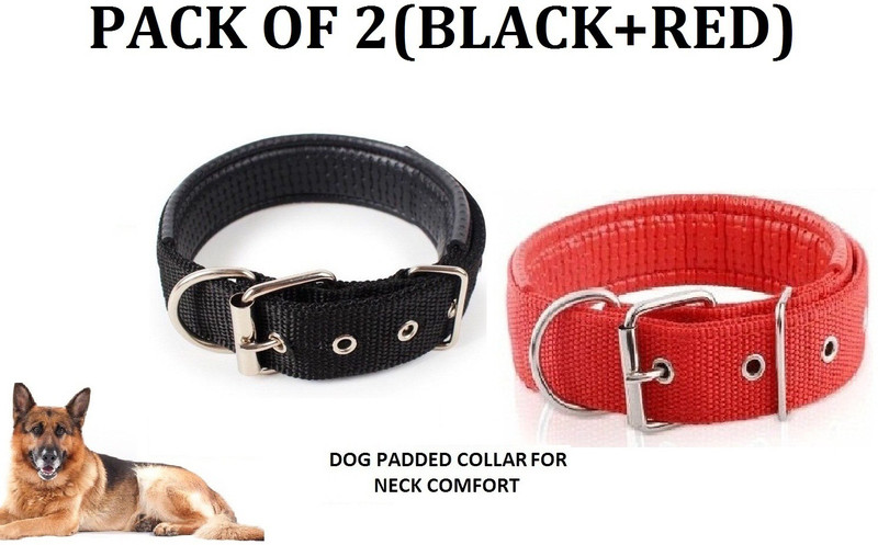 Hachiko Dog Collar & Leash(Medium, Black,Red)