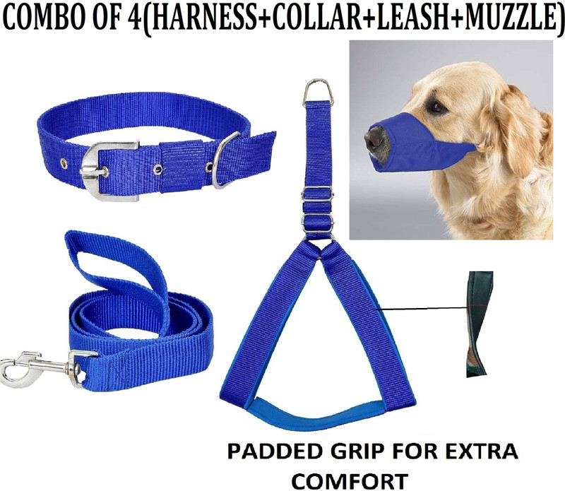 Hachiko Dog Collar & Leash(Large, Blue)