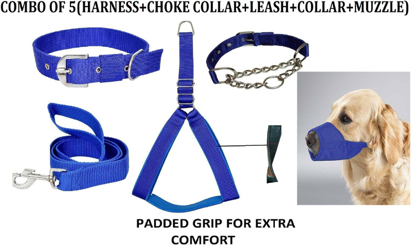 Hachiko Dog Harness & Leash(Small, Blue)