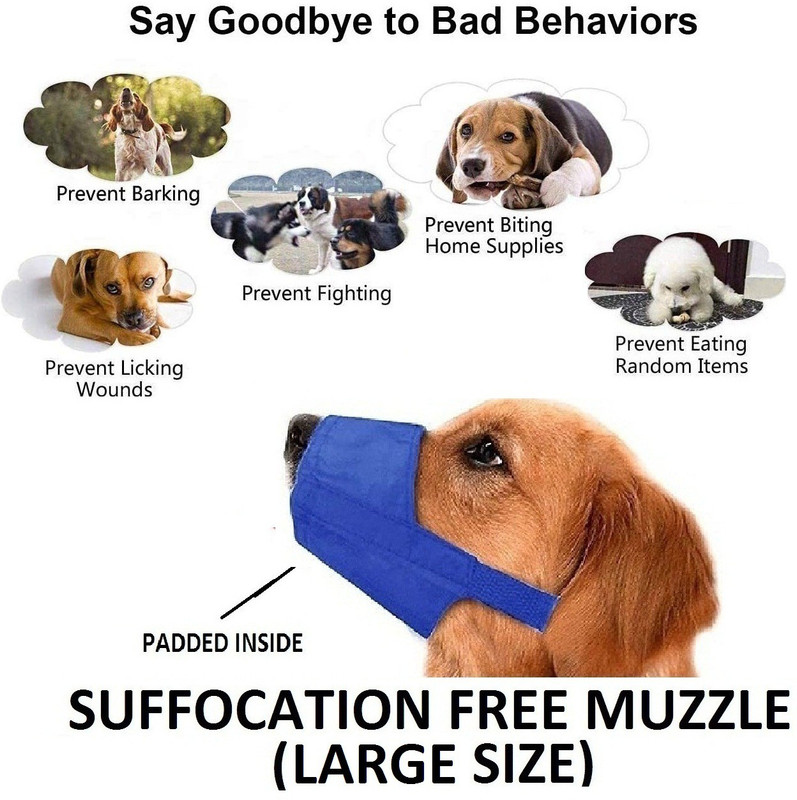 Hachiko Large Other Dog Muzzle(Blue)