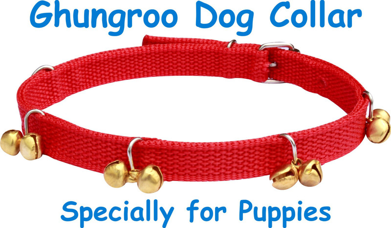 BODY BUILDING Dog Belt Red Ghungroo Dog Collar Specially for Small Puppies Dog Everyday Collar(Extra Small, Red Puppy Ghungroo Collar)