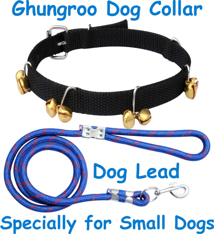 BODY BUILDING Dog Collar & Leash(Small, Black-Blue)