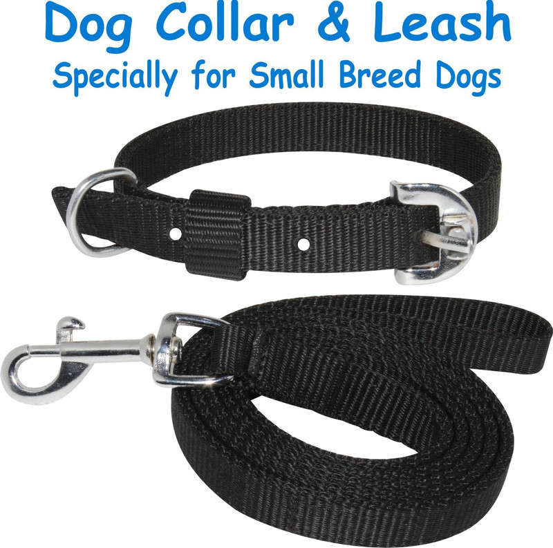 ADIOS Dog Belt Combo of Blue Dog Collar with Black Lead Specially for Small Dog Collar & Leash(Small, Blue, Black)