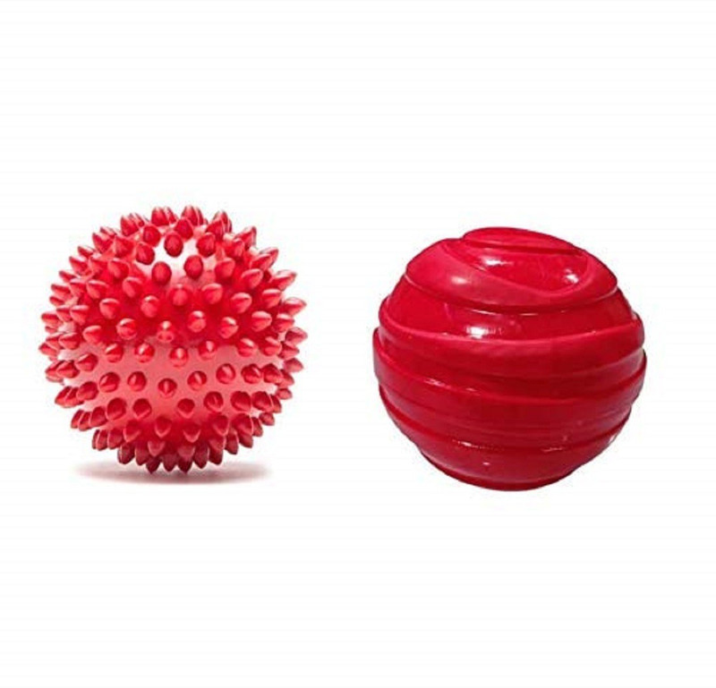 ETS Rubber Ball For Dog