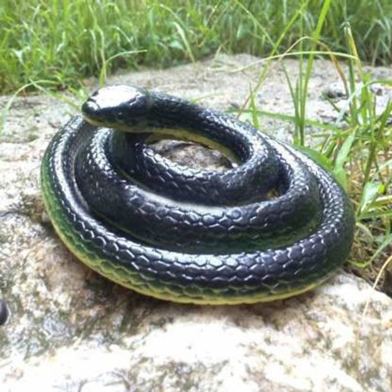 sehgal 2 Fake Snake/Prank Realistic Fake Rubber Snake Prank Toy Fake Snake Prank Toy Gag Toy(Black)
