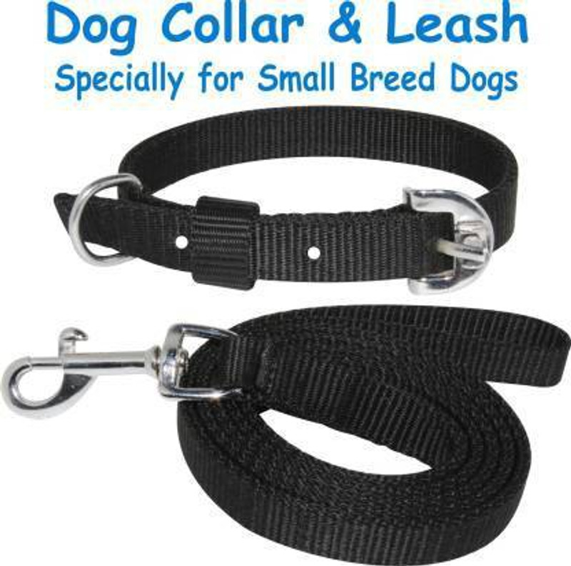 DHATRI TOOLS Dog Collar & Leash(Medium, BLACK)