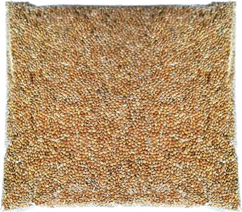 SWEZO Premium budgie food (500g) Blue Bird Bird Feeder(Brown)