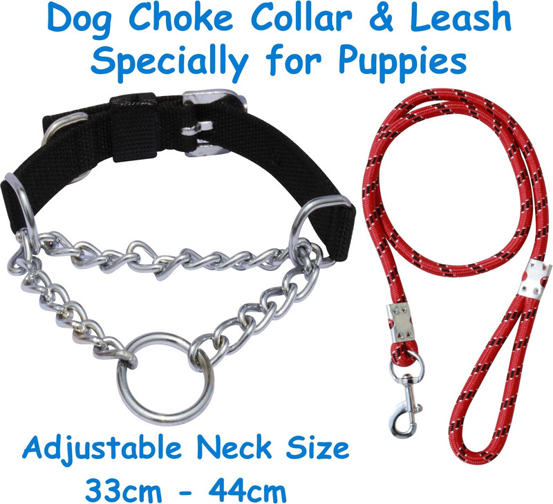 BODY BUILDING Dog Belt Combo of Red Ghungroo Collar with Red Leash Specially for Small Breed Dog Collar & Leash(Small, Red)