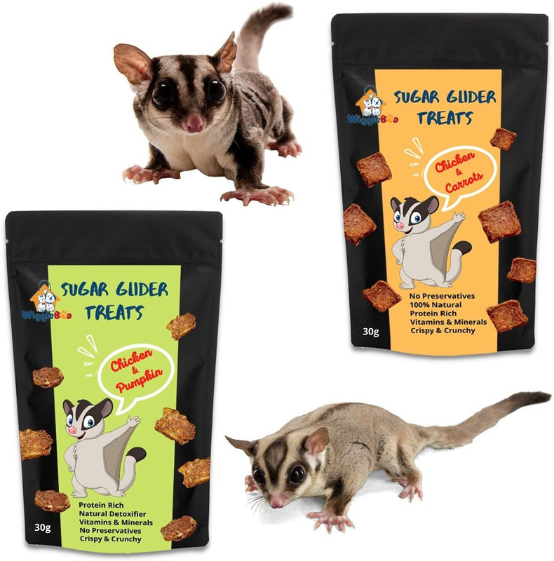 WiggleBoo Chicken & Pumpkin Sugar Glider Treat | Travel Pack | Protein Rich | Natural Detoxifier | 100% Natural Crunchy Food Snack | 30g Chicken, Vegetable Hedgehog Treat(30 g)