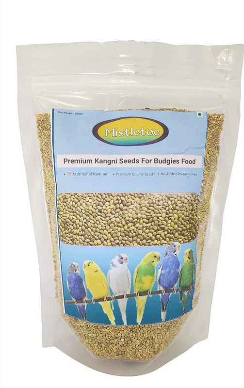 Mistletoe Product Budgie, Finch, Love Bird Premium Foxtail millets Bird Food Kangani Seed 0.5 kg Dry Young, Adult Bird Food
