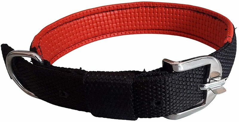 Iblay Dog Belts for Big Dogs - 1 inch Padded Collar- pata for Dogs Collar Plain Dog Collar Charm(Black, Other)
