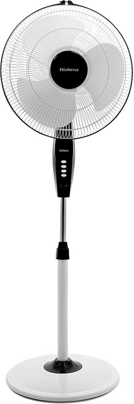 ayra-black-80-1-1430-pedestal-fan-blueberry-s-original-imag6gaheye62s7x.jpeg