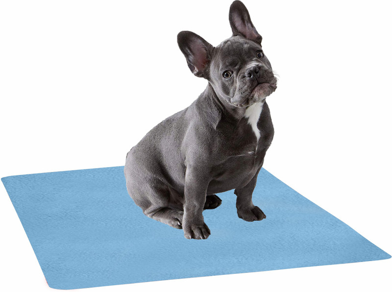 Trance Home Linen Waterproof Pet Training Puppy Pads |Reusable | Washable Pet Dry Sheet - Small - Pack of 2 Dog Pet Mat