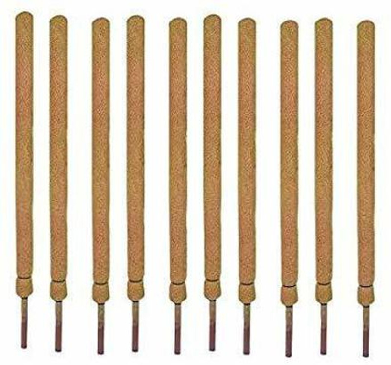 Digihub Coir Moss Stick 3 feet Plant Support - Coco Pole Stick (Pack of 10) - Coir Moss Stick for Money Plant Support, housing & Indoor Plants Garden Mulch(Brown 0.4 kg)