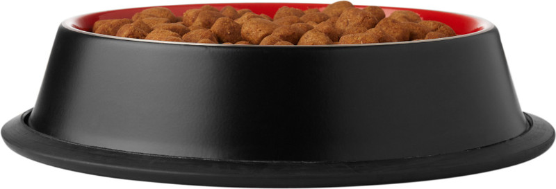 CIBO Super Premium Quality Anti Skid Belly Non Tip Bowl Pantone Double Colour Inside & Outside Large Round Stainless Steel Pet Bowl(900 ml Black, Red)