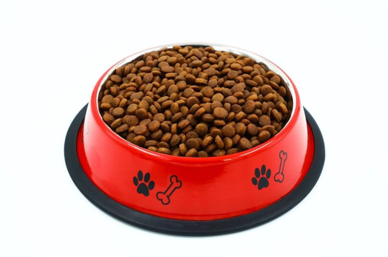 YIMK round Stainless Steel Pet Bowl(700 ml Yellow)