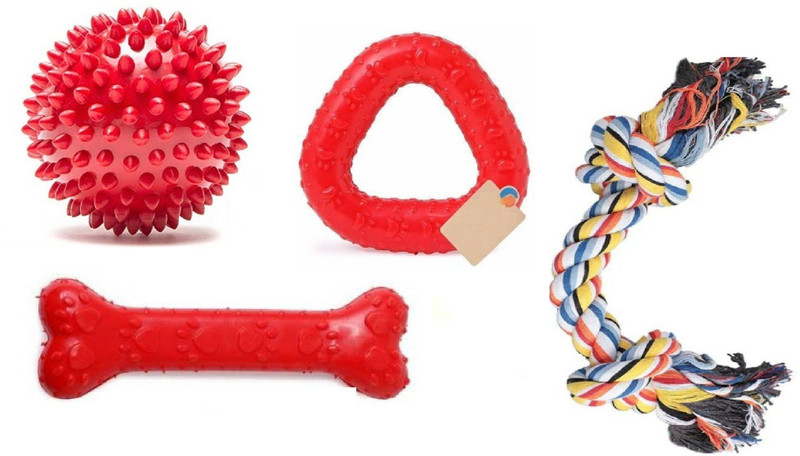 Hachiko Best Quality Pet Rubber Chew Toys Ball + Rubber Bone + Ring Ball + Rubber ball + Trio Chew (Combo of 5) Pet Playing ,Exercise Rubber Fetch Toy Color May Vary. Rubber Chew Toy, Rubber Toy, Ball, Bone, Soft Toy, Fetch Toy For Hamster
