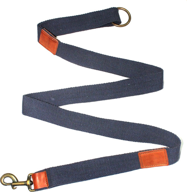 Jainsons Pet Products 150 cm Dog Strap Leash(Blue)