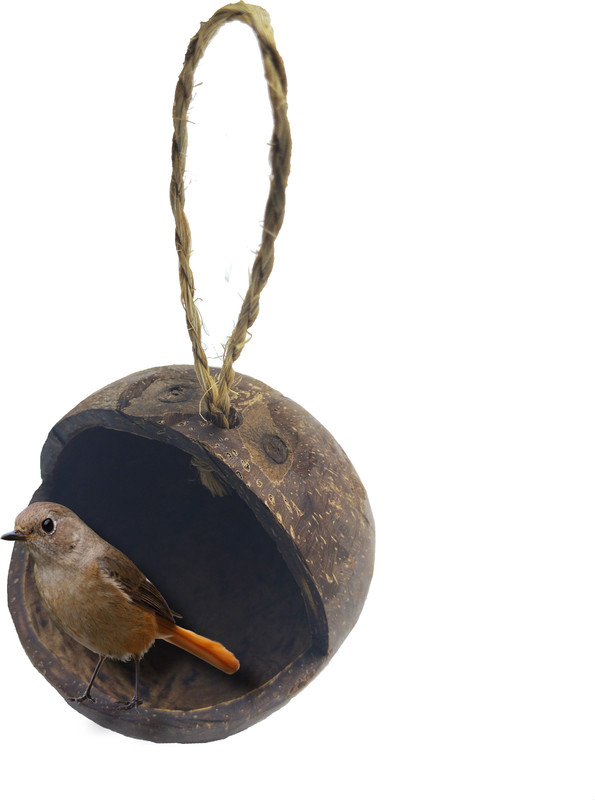Mats Avenue Caged Bird Feeder(Brown)