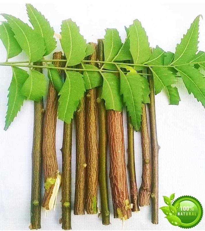 shooph bazaar Neem Fresh Chew Sticks (Twigs) Datun For Healthy & Strong Teeth Toothpaste (150 g, Pack of 10) Teeth Wipe(Pack of10)