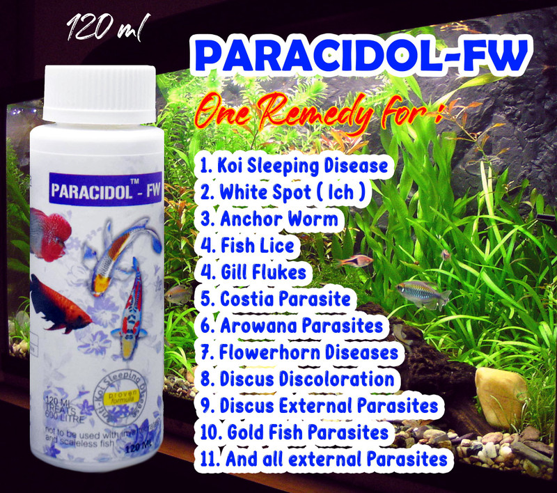 AQUATIC REMEDIES Paracidol FW 120ml Aquatic Plant Fertilizer(120 ml)