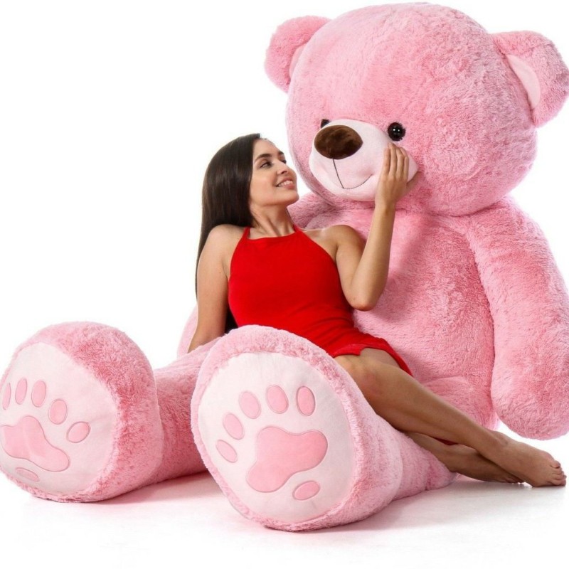 Shobhataddy 2feet lovely huggable taddy bear in pink (60cm) - 60 cm(Pink, Red)