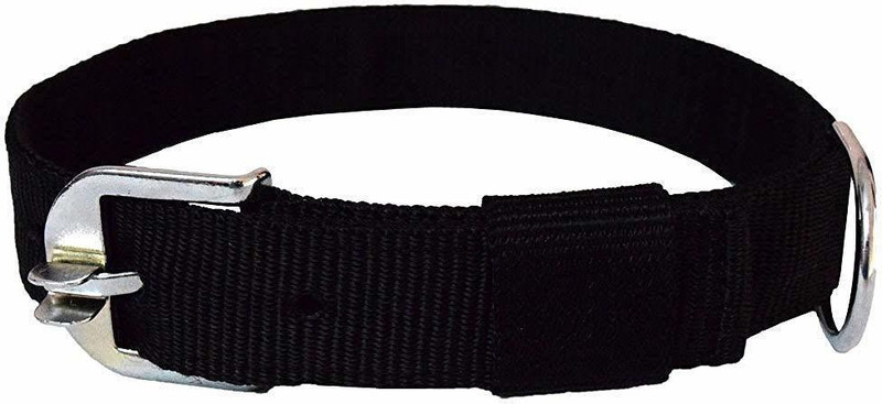 Rvpaws Brass Heavy Duty Diamond Cut Gold Dog Choke Chain Training Collar Length 76cm/2.5ft (Medium:L-76cm W-1.5cm) Plain Dog & Cat Collar Charm(Multicolor, Solid)