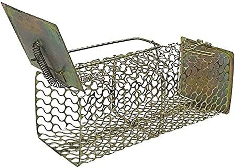 Dsom Mouse and Mice Rat Catcher Cage Made with Brass Metal Wires-Big Size Cage Seed Catcher