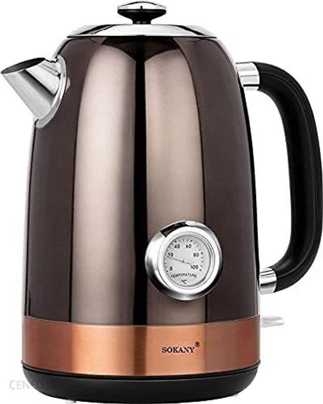 electric-stainless-steel-kettle-with-spout-cover-food-grade-304-original-imag7h2htejajmmb.jpeg