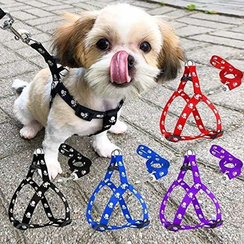 chullbull pet products Paw Print Leash and Harness Set for Small & Medium Puppy Bell Dog & Cat Collar Charm(Multicolor, Solid)
