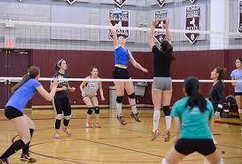 LCARNO DRX-4970 Naylon Volleyball Nets 10 Mesh Pack of 1 Black And White Volleyball Net(Black)