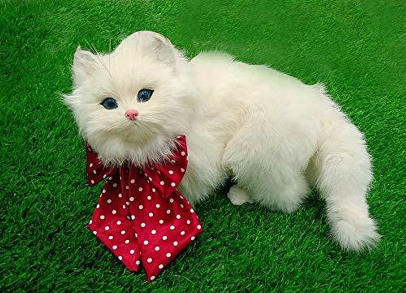 Rvpaws Bow Tie for Dog, Cat(Blue)