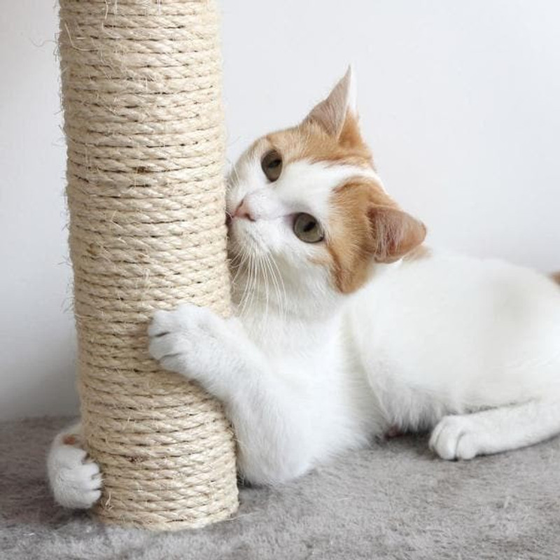 Mats Avenue Big Spool of Natural Sisal Rope for DIY Cat Post /Cat Tree /Repairing Cat Post,2.1 KG Free Standing Cat Tree