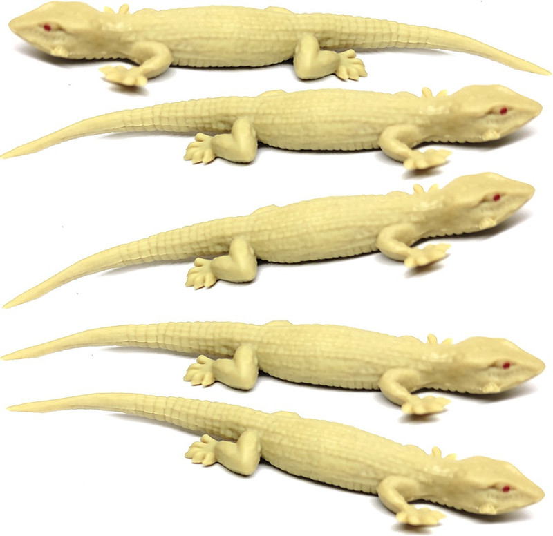 RVM Toys Set of 5 Fake Lizard House Gecko Rubber Practical Jokes and Prank Trick Toys for Boys and Girls Prank Toy Gag Toy