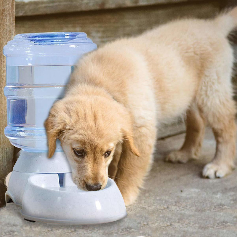 Onprix Pet Water Dispenser 3.5 ml Large Capacity Self-Dispensing Gravity Pet Feeder Waterer Cat Dog Feeding Bowl Drinking Water/Automatic Feeding Pet Supplies round Plastic Pet Bowl & Bottle 3.5 ml Multicolor) Round Plastic Pet Bowl & Bottle (3.5 ml Multi color) Round Plastic Pet Bowl & Bottle(3.5 m