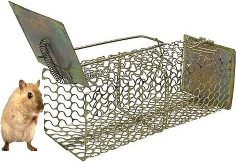 shophome Golden Rat trap Live Trap
