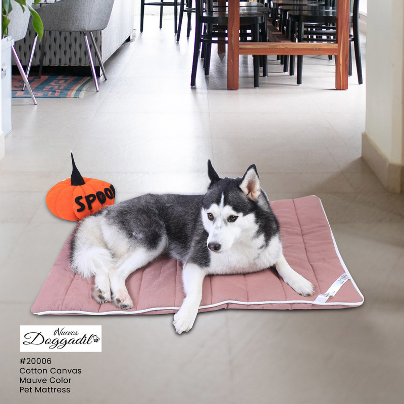 NUEVOS DOGGADIL 20037 Dog, Cat, Rabbit Pet Mat