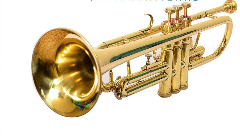 SKYLARK INTERNATIONAL TRMU01 Bb Trumpet(GOLDEN)