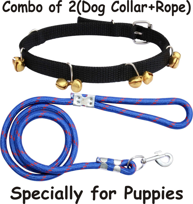 PEDIGONE Dog Collar & Leash(Extra Small, KBP)