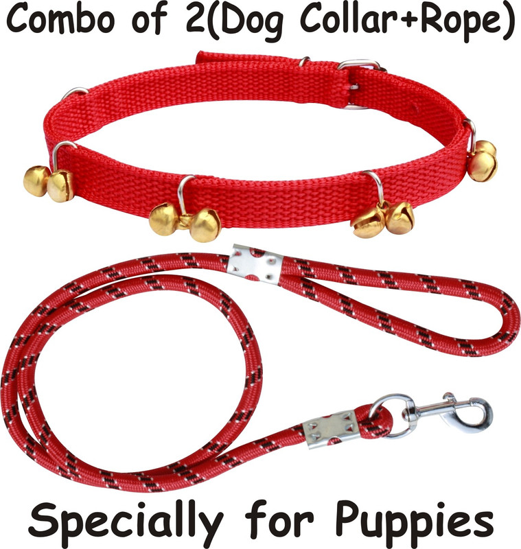 PEDIGONE Dog Belt (Combo of 2) Red Ghungroo Dog Collar + Red Lead Specially for X-Small Breeds Dog Collar & Leash(Extra Small, RRP)