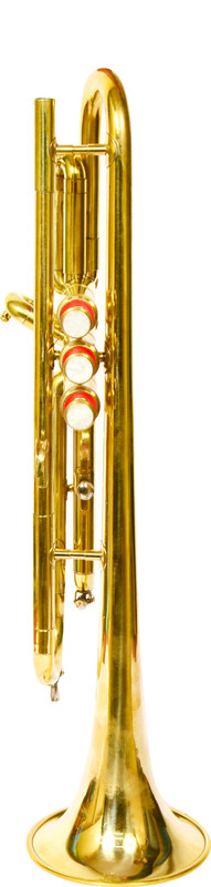 YORBAX YRX17 Bb Trumpet(GOLDEN FINISH)