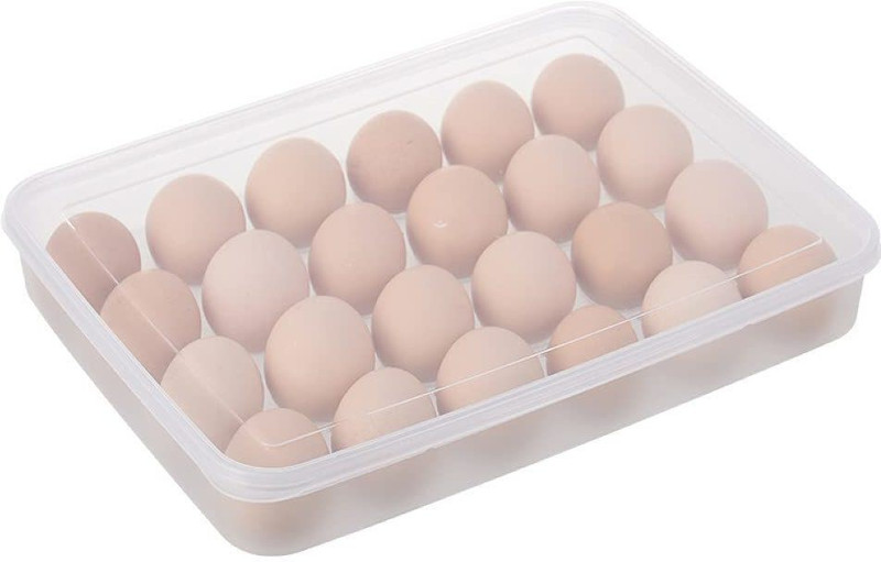 NEXT TO BUY 24 Grids Plastic Egg Box Plastic Egg Separator Set(Clear, Pack of 1)