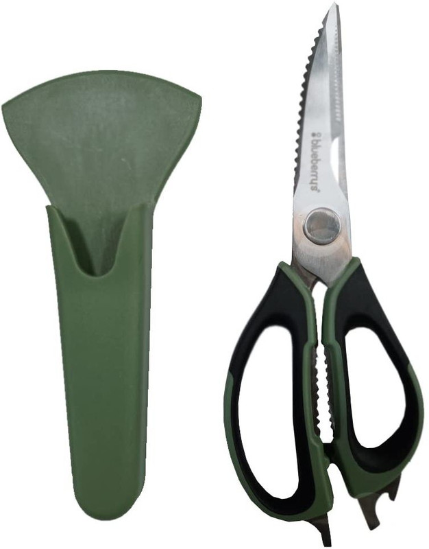 BlueBerry's Stainless Steel All-Purpose Scissor(Green, Silver, Pack of 1)