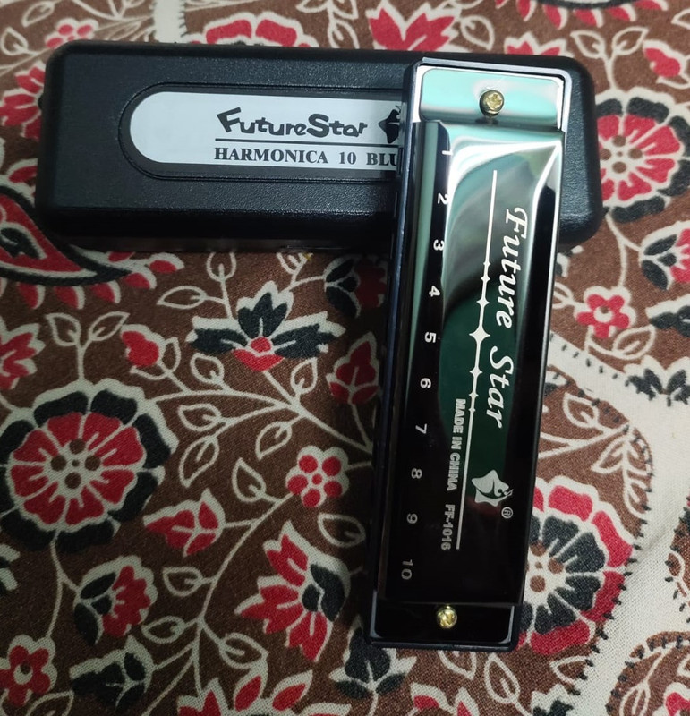 JGG Jain Gift Gallery PREMIUM BLUES HARMONICA 10 HOLES HARMONIC(SILVER)